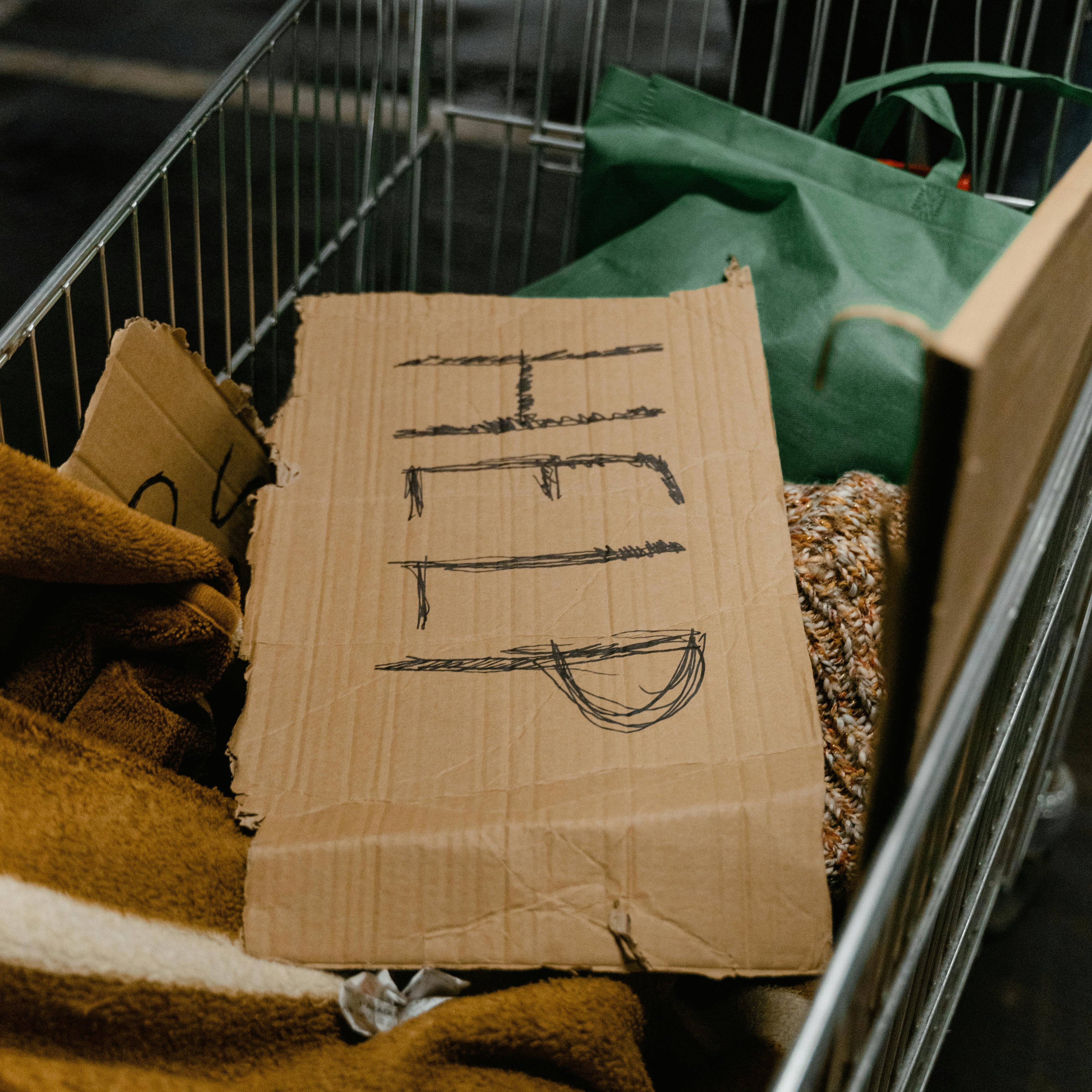 Cardboard with 'HELP' written on it inside a shopping cart filled with items.